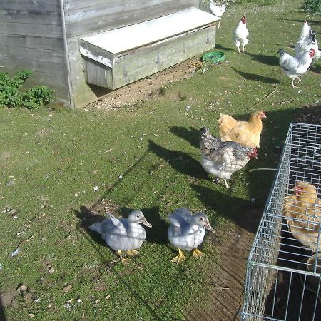 South Moor Farm Bed & Breakfast สการ์โบโรห์ ภายนอก รูปภาพ