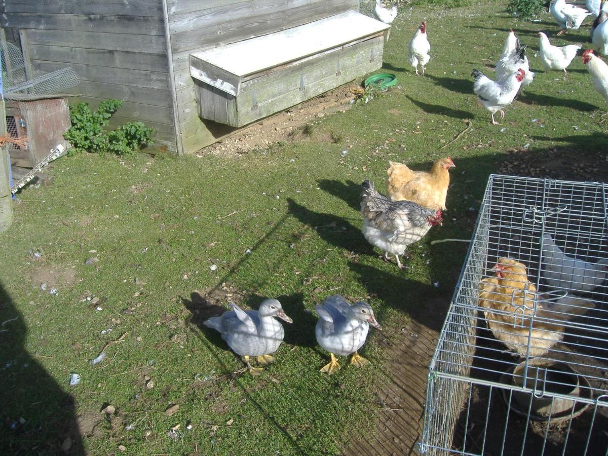 South Moor Farm Bed & Breakfast สการ์โบโรห์ ภายนอก รูปภาพ